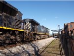 BCOL 4648